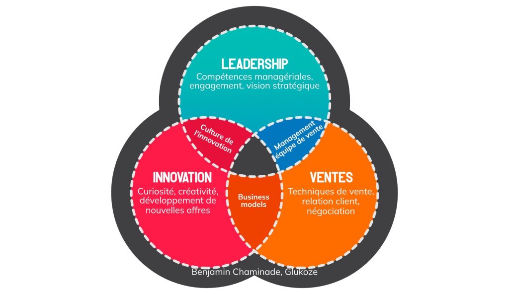 Offre de formation au leadership, à la vente et à l'innovation de Glukoze et benjamin chaminade